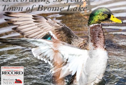 Celebrating 50 years: Town of Brome Lake