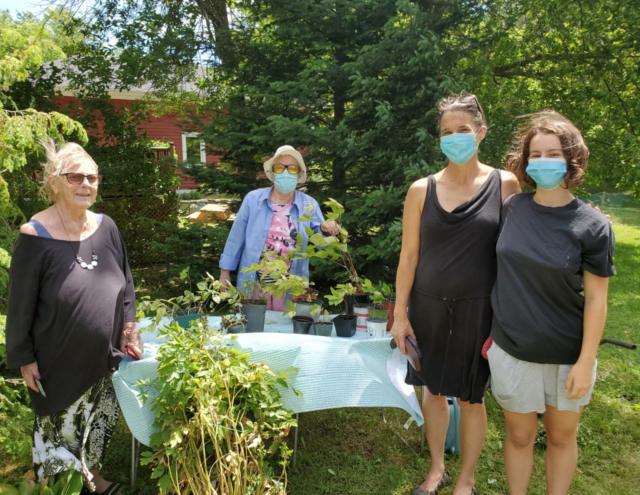 Annual plant sale to benefit Stephen Lewis Foundation